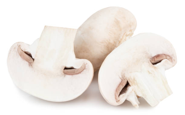istock champignon mushrooms isolated on white background, with clipping path 1127569864