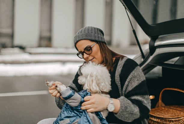istock One woman sitting and playing with dog 1127570061
