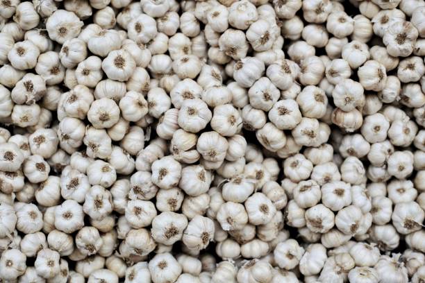 istock garlic close up fullframe. material texture background. organic cooking material. 1127570153