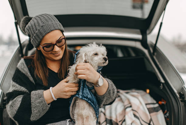 istock One woman sitting and playing with dog 1127570241