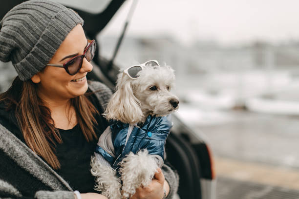 istock One woman sitting and playing with dog 1127570556