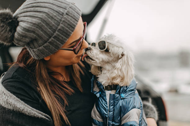 istock One woman sitting and playing with dog 1127570678