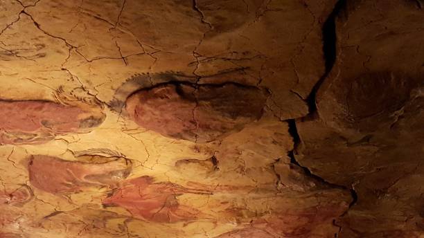 mural de pintura en el norte de españa la cueva - cueva de altamira fotografías e imágenes de stock