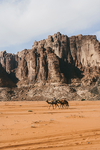 Camel train in Wadi Rum desert