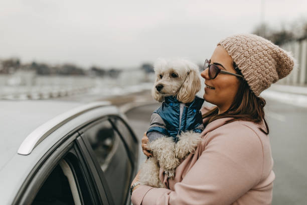 istock One woman getting ready to travel with dog 1127572178