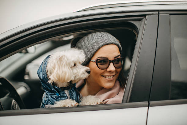 istock One woman sitting and playing with dog 1127572670