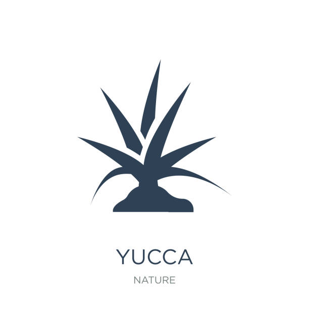 yucca icon vector on white background, yucca trendy filled icons yucca icon vector on white background, yucca trendy filled icons from Nature collection yucca stock illustrations