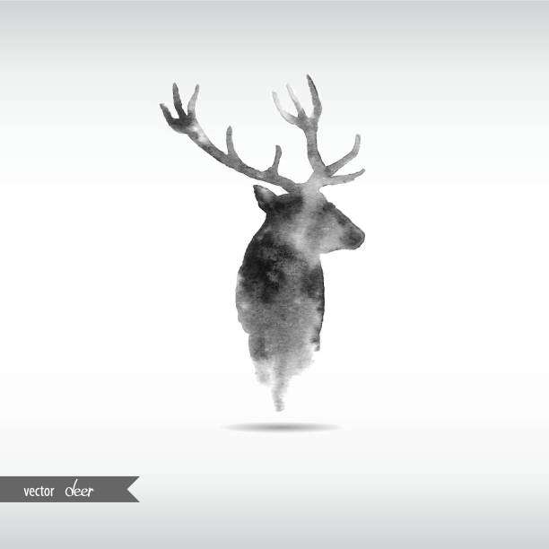 ilustraciones, imágenes clip art, dibujos animados e iconos de stock de cabeza de ciervo acuarela - vector - deer portrait