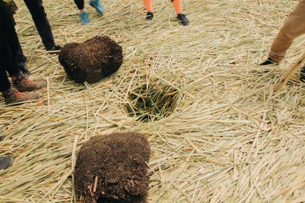 istock uros island, lake titicaca 1127576780