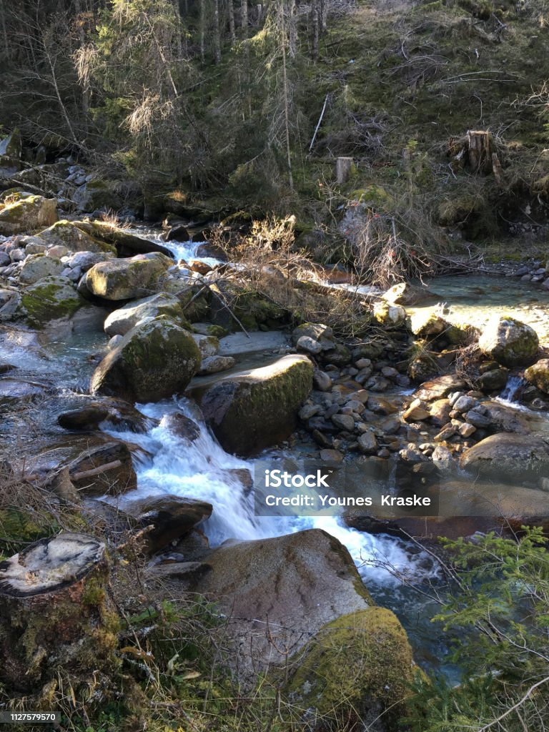 Ziller River the river Ziller with a confluence in the forest Alto Adige - Italy Stock Photo