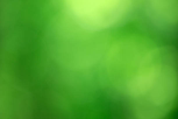 istock Green bokeh background from nature forest out of focus 1127580575