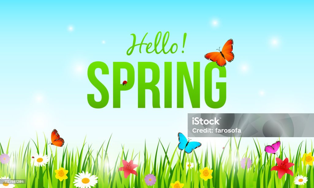 " Hallo! Frühling" auf wunderschönem Frühlingswiesenhintergrund. Grünes Gras mit Blumen und Schmetterlingsvektorillustration. - Lizenzfrei Frühling Vektorgrafik