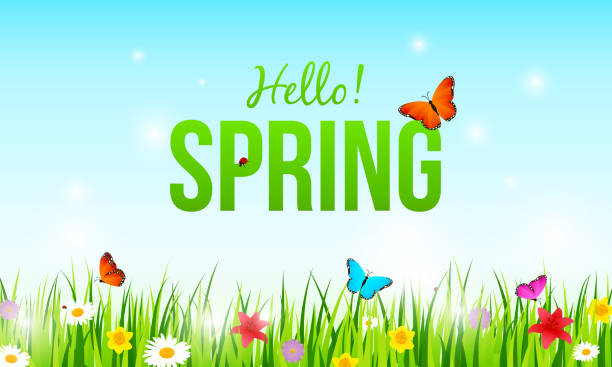 stockillustraties, clipart, cartoons en iconen met "hallo! lente "op prachtige lente weiden achtergrond. groene gras met bloemen en vlinder vectorillustratie. - lente