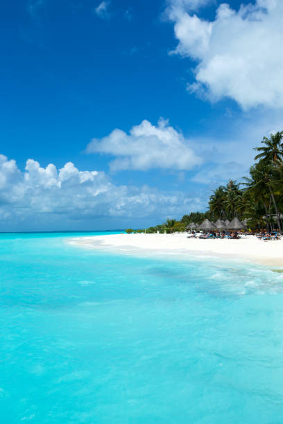 istock tropical Maldives island with white sandy beach and sea 1127581334