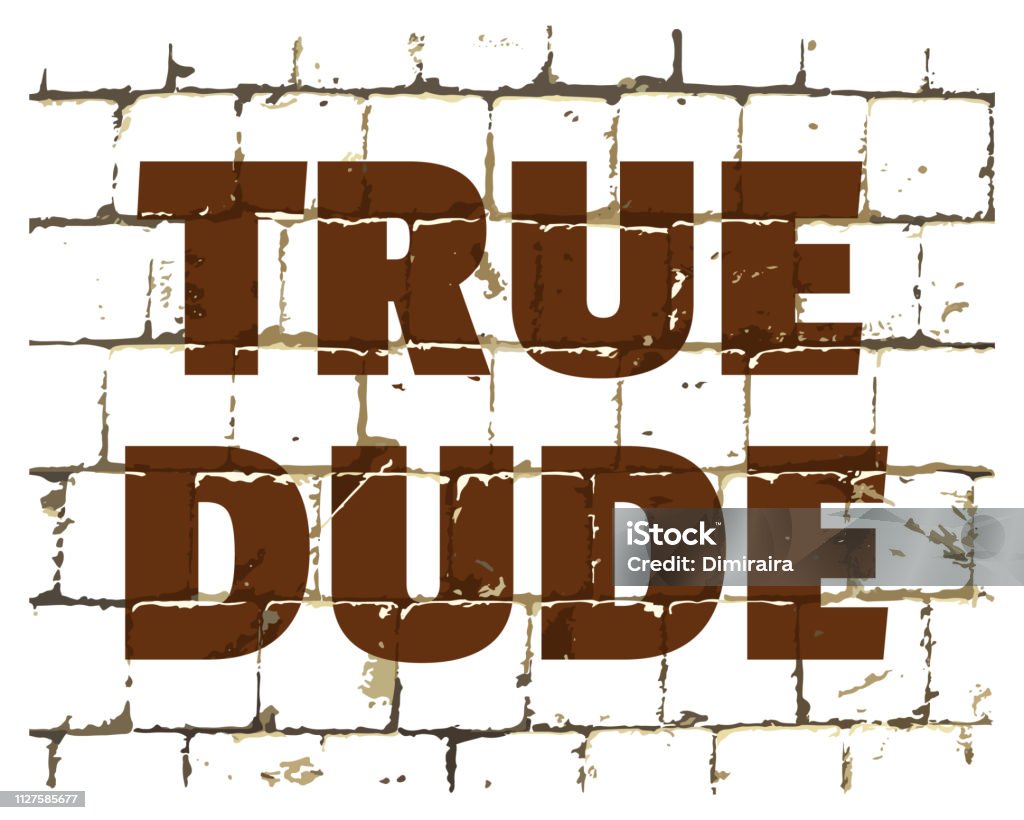 True Dude printed on stylized brick wall. Textured humorous inscription. Vector True Dude printed on stylized brick wall. Textured humorous inscription for your design. Vector illustration Abstract stock vector