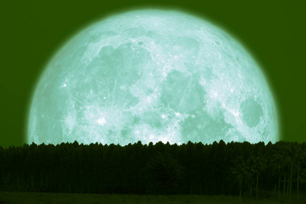 istock super snow moon back silhouette top pine on night sky 1127585696