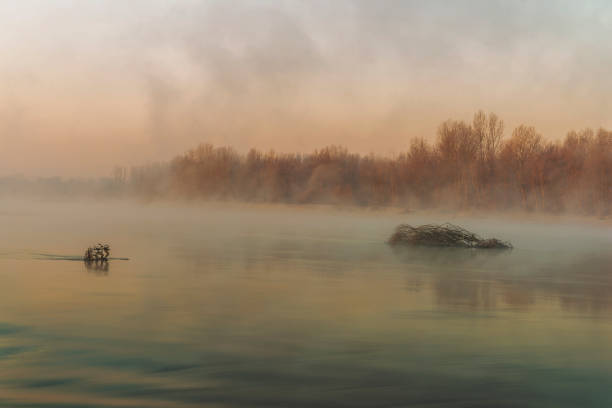 sunny sunrise over the Ticino riverbanks in a winter morning in Milano province