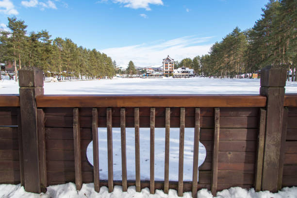 istock Idyllic winter day into the woods 1127590451