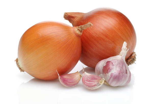 onion and garlic on white background - garlic freshness isolated vegetarian food imagens e fotografias de stock