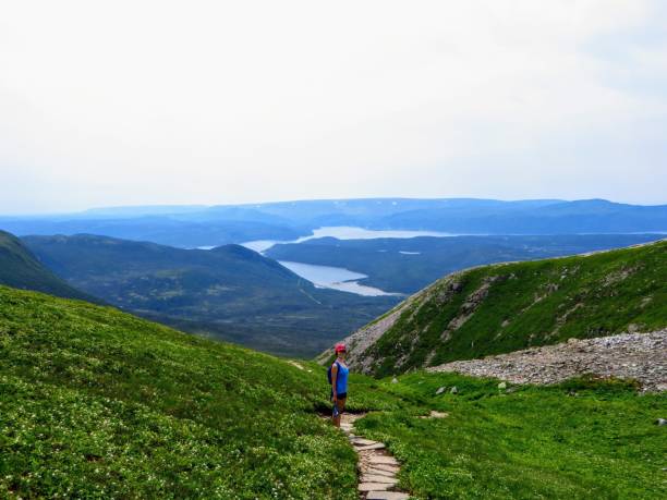 a young female hiker climbing near the summit of gros morne mountain, in gros morne national park, newfoundland and labrador, canada.  a gorgeous green valley of mountains and lakes are behind her. - scree imagens e fotografias de stock