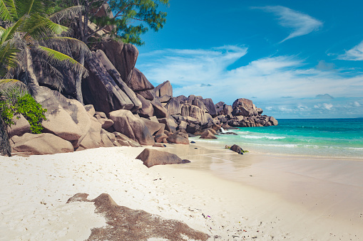 beautiful lonely tropical beach at praslin island, at the seychelles islands in africa.
