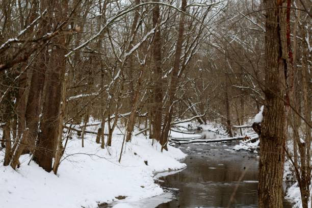 istock Creek in Snowy Landscape 1127597436