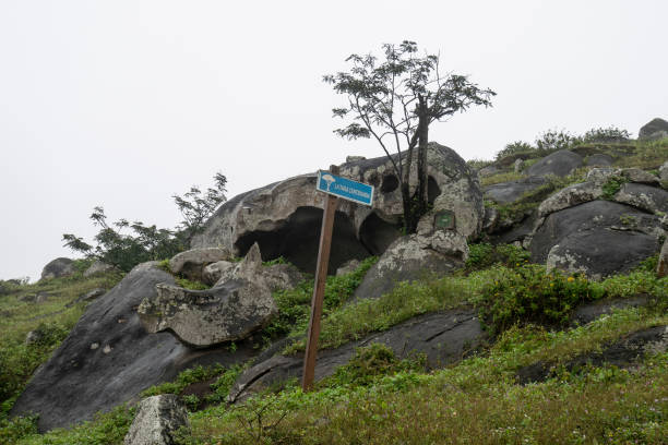 istock Hills of Lucumo 1127600123