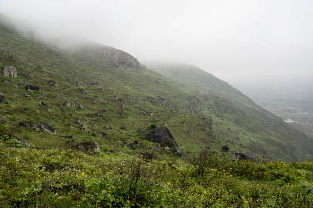 istock Hills of Lucumo 1127600145