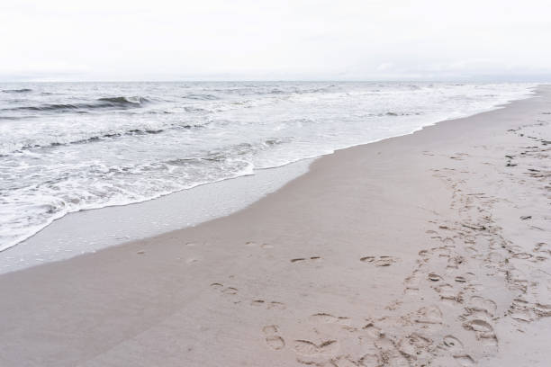 the Baltic Sea, a wave slid diagonally, footprints in the sand