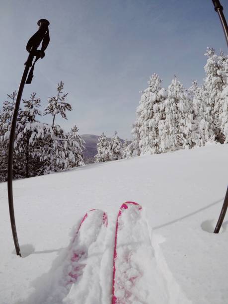 istock Skiing downhill/ giant snowy spruce trees 1127607560