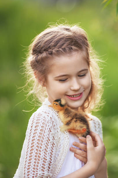 bambina che tiene un simpatico anatroccolo tra le mani. - baby chicken young bird easter bird foto e immagini stock