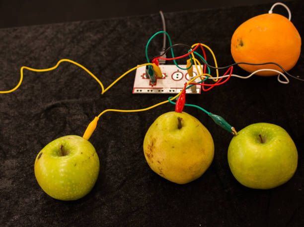 istock Cables connected to a device and to apples, oranges and pears 1127610720