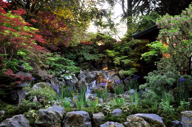 ogród japoński - wystawa ogrodnicza zdjęcia i obrazy z banku zdjęć