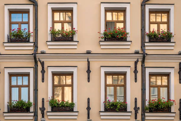 istock Two rows of windows with flowers 1127611860