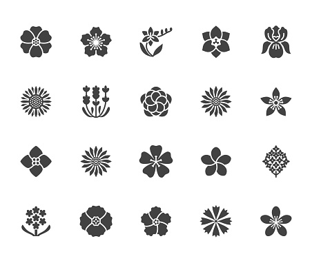 Flowers flat glyph icons. Beautiful garden plants - sunflower, poppy, cherry flower, lavender, gerbera, plumeria, hydrangea blossom. Signs for floral store. Solid silhouette pixel perfect 64x64.
