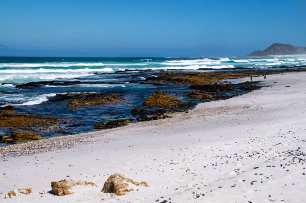 le spiagge di sabbia bianca lungo la bellissima e panoramica strada costiera della garden route, città del capo, sudafrica - south africa road cape town the garden route foto e immagini stock