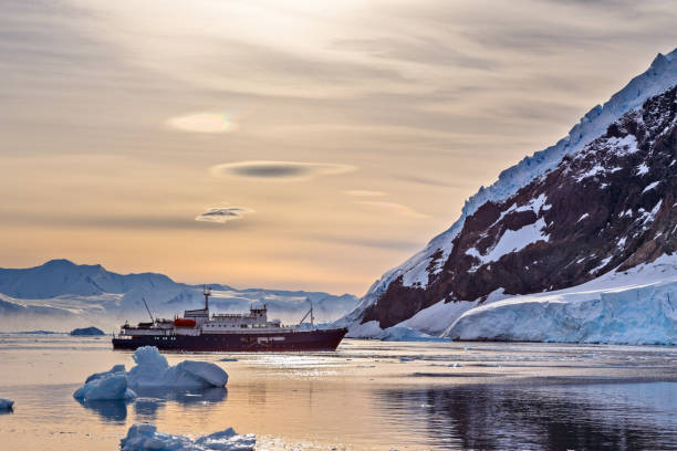 istock Touristic Antarctic cruise vessel among the icebergs 1127613332