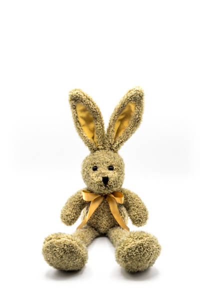 棕色兔子與弓 - ostern 個照片及圖片檔