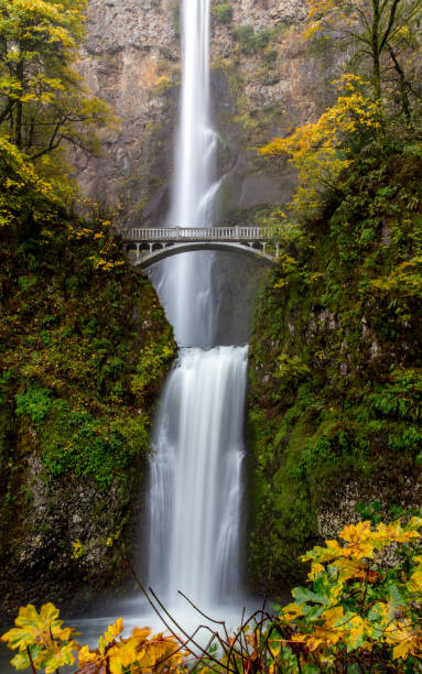 istock Multnomah Falls, Historic Columbia River Highway, Oregon. 1127619159