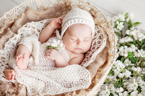 Sweet newborn baby sleeps in a basket. Beautiful newborn boy with flowers