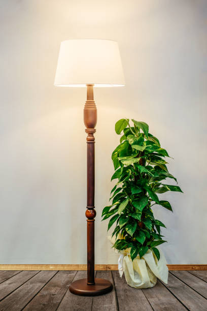 interior de la habitación con flores y lámpara de pie - floor lamp lamp lamp shade contemporary fotografías e imágenes de stock