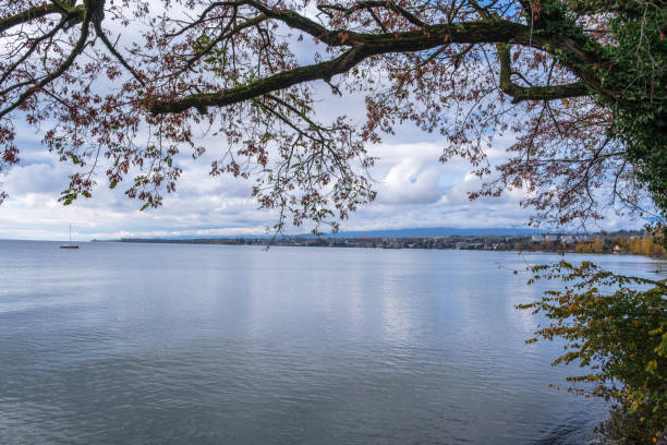 istock A view on Lake Geneva, from Preverenges, Switzerland 1127625285