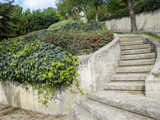 istock concrete staircase in green nature 1127626490