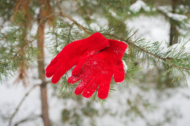 istock Knitted red gloves on the fir branches 1127626714