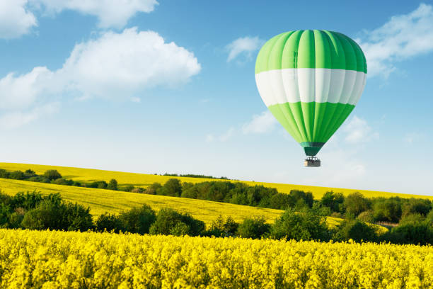 istock Green balloon under yellow rape field 1127627339
