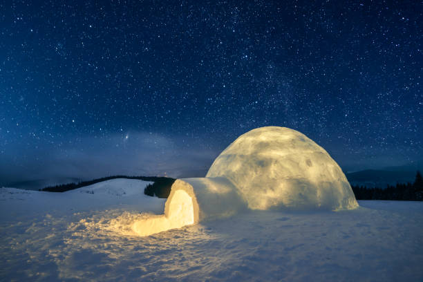 wintry scene with snowy trees - igloo imagens e fotografias de stock