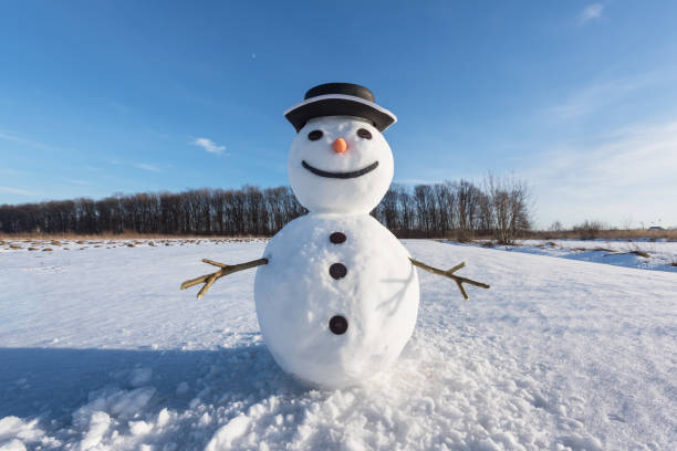 istock Funny snowman in black hat 1127627354
