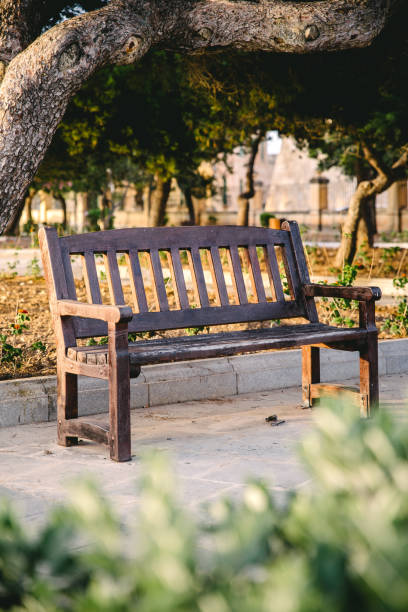 Empty bench in a park stock photo