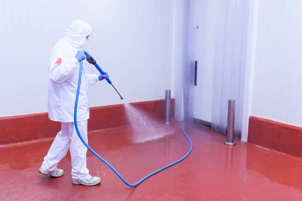 The meat cutting room worker of the cutting room washing the cold room with water pressure equipment and dressed in hygienic clothing meat factory stock pictures, royalty-free photos & images