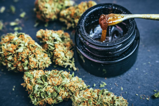 Cannabis Concentrate Wax & Trimmed Flower Marijuana Buds Mango Kush strain marijuana buds with concentrated THC wax sauce on dab tool. hashish stock pictures, royalty-free photos & images